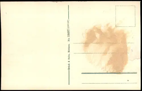 Ansichtskarte Riesa Elbbrücke - Dampfer Riesa 1914