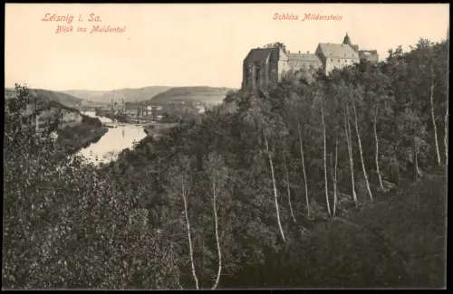 Ansichtskarte Leisnig Blick ins Muldental Schloss Mildenstein 1913