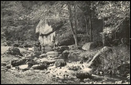 Karlsbad Karlovy Vary Partie am Lamnitzbach. Ausflug Donawitzer Mühle 1913