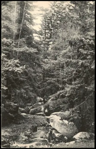 Karlsbad Karlovy Vary    Lamnitzbach oberhalb der Donawitzer Mühle. 1913