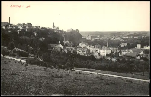 Ansichtskarte Leisnig Partie an der Stadt 1913