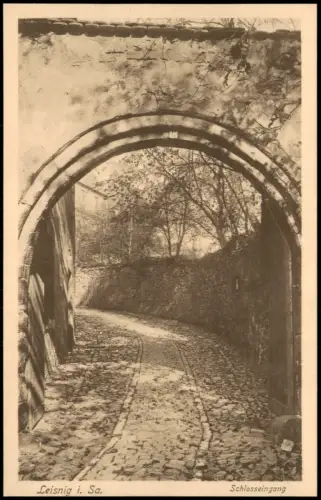 Ansichtskarte Leisnig Schlosseingang 1913