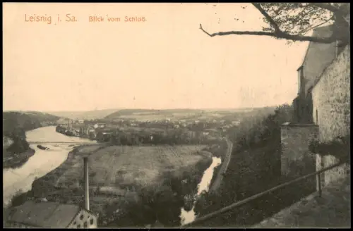 Ansichtskarte Leisnig Blick vom Schloß. 1913