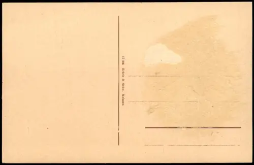 Ansichtskarte Leisnig Partie an der Mulde. Ruderer 1913