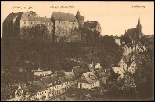 Ansichtskarte Leisnig Schlossberg Schloss Mildenstein 1913