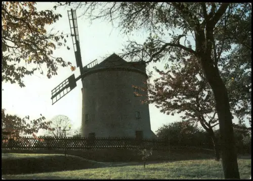 Ansichtskarte Syrau (Vogtland) Syrauer Windmühle zur DDR-Zeit 1988