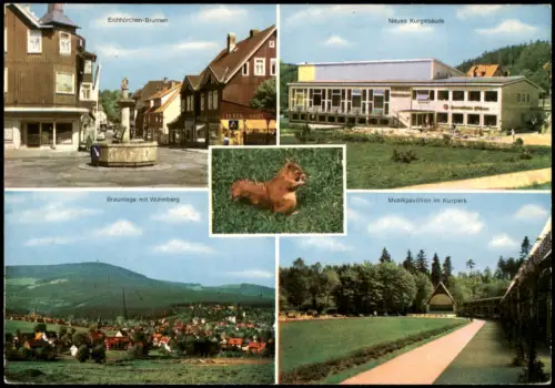 Braunlage Mehrbildkarte u.a. Eichhörchen-Brunnen, Musikpavillion im Kurpark 1967