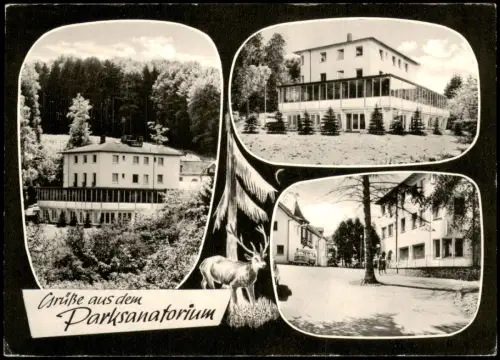 Braunfels (Lahn) Mehrbild-AK Ansicht OT LEUN Park-Sanatorium 1965