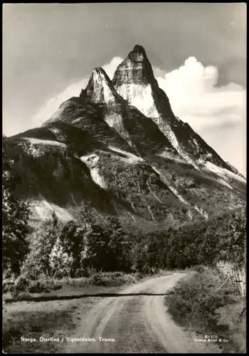 Postcard Norwegen Norge Norge. Otertind Signaldalen, Troms. 1960