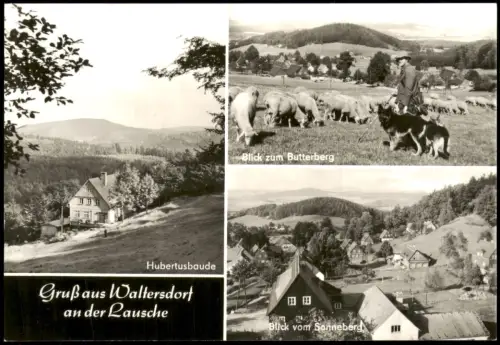 Zittau DDr AK Umland-Ansichten Gruß aus Waltersdorf an der Lausche 1981