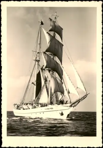 DDR Schiffsfoto-AK Segelschiff Segelschulschiff Wilhelm Pieck 1962/1957