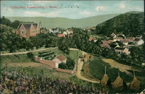 Ansichtskarte Falkenberg (Mark) Stadtpartie 1906