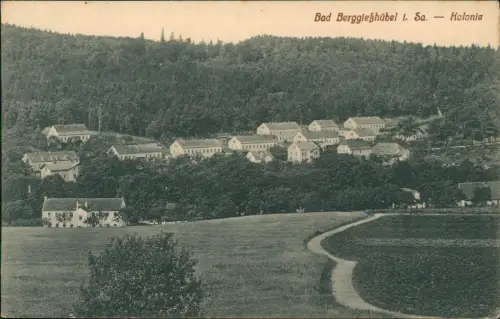 Ansichtskarte Berggießhübel-Bad Gottleuba-Berggießhübel Kolonie 1907