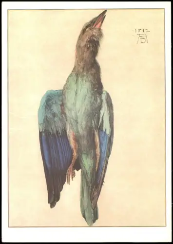 Ansichtskarte  Künstlerkarte DDR ALBRECHT DÜRER Vogel Motiv Blaurake 1982