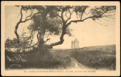 CPA Saint-Jacut-de-la-Mer Au loin, la Tour des Ebihiens 1910