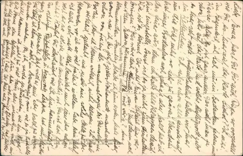 Ansichtskarte Bergen (Rügen) Luftbild Rügen Arndtturm auf dem Rugard 1931