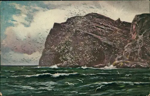 Postcard Nordkap Davvinjárgga Nordkap der Vogelberg 1912  Norway Norge