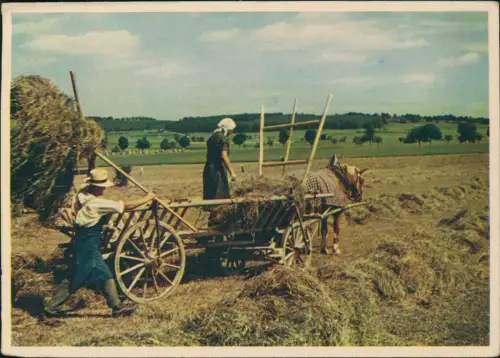 Ansichtskarte  Heuernte mit Pferdewagen 1940