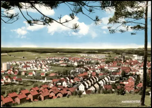 Ansichtskarte Auerbach in der Oberpfalz Panorama-Ansicht 1960