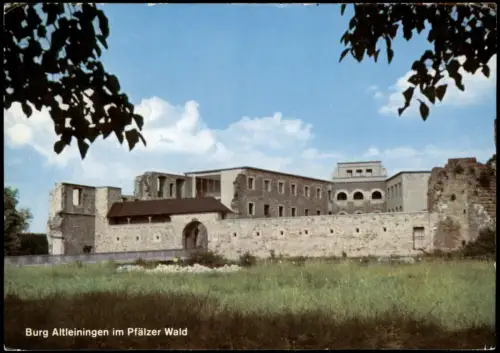 Ansichtskarte Altleiningen Burg Altleiningen im Pfälzer Wald 1965