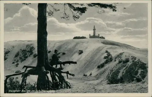 Ansichtskarte Schmöckwitz-Berlin Gosener Berge m. Schillerwarte 1934
