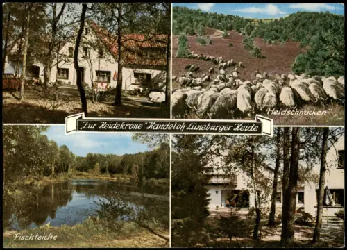 Handeloh (Lk Harburg) Mehrbildkarte mit Gasthaus Hotel   Heidekrone 1960