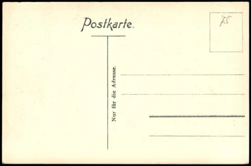 Ansichtskarte Rüdesheim (Rhein) Niederwalddenkmal Feldherrn-Relief 1909