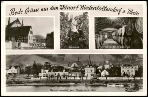 Königswinter Mehrbildkarte mit Weinlese, Weinkeller, Niederdollendorf 1954