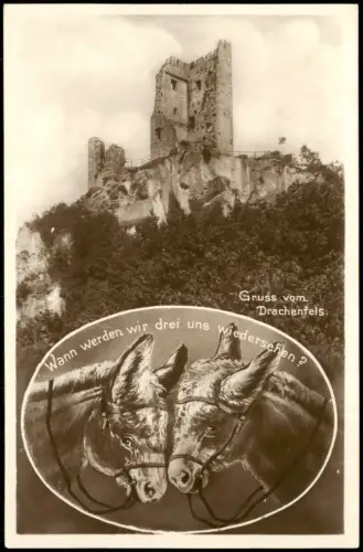 Bad Godesberg-Bonn Esel Motivkarte Drachenfels (Siebengebirge) Grusskarte 1930