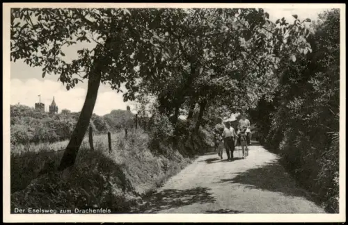 Ansichtskarte Königswinter Der Eselswege zum Drachenfels 1940