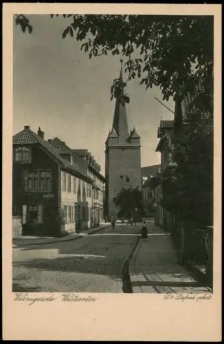 Ansichtskarte Wernigerode Straßen-Ansicht Am Westerntor 1920