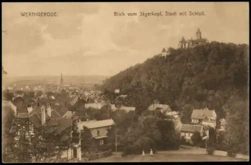 Wernigerode Panorama-Ansicht Blick vom Jägerkopf, Stadt mit Schloß 1910