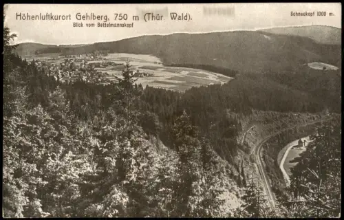 Ansichtskarte Gehlberg Umland-Ansicht Blick vom Bettelmannskopf 1910