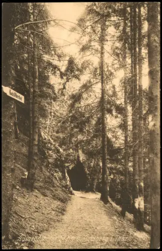 Ansichtskarte Gehlberg Umland-Ansicht "Ausgebrannter Stein" 1910