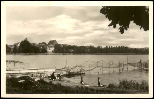 Ansichtskarte Prenzlau Umland-Ansicht Partie am Uckersee zur DDR-Zeit 1956