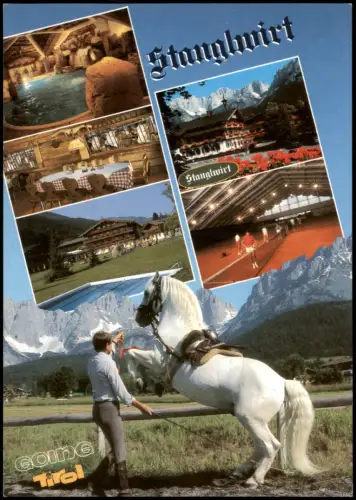 Going am Wilden Kaiser Stanglwirt Millionenhengst Pluto Verona Lipizzaner 1990