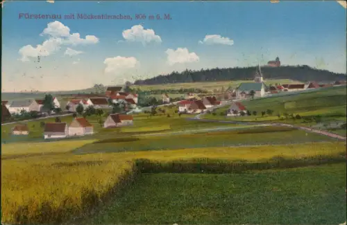 Ansichtskarte Fürstenau-Altenberg (Erzgebirge) Stadtpartie 1918