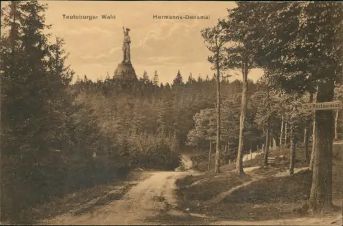 Hiddesen-Detmold Fernblick vom Waldesrand auf das Hermanns-Denkmal 1913