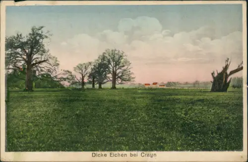 Postcard Krayn Crayn b. Liegnitz Krajów Dicke Eichen 1919