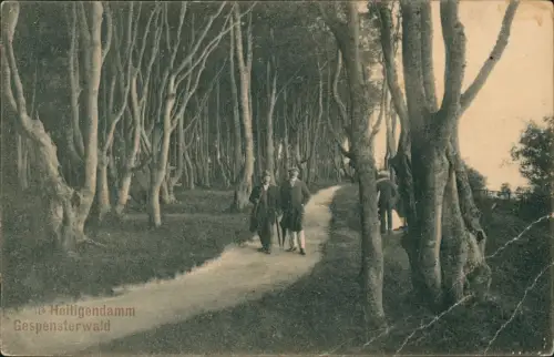 Ansichtskarte Heiligendamm-Bad Doberan Gespensterwald spazierende Männer 1910