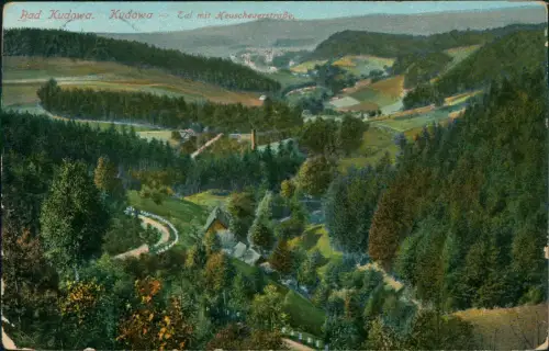 Postcard Bad Kudowa Kudowa-Zdrój Heuscheuerstraße 1912