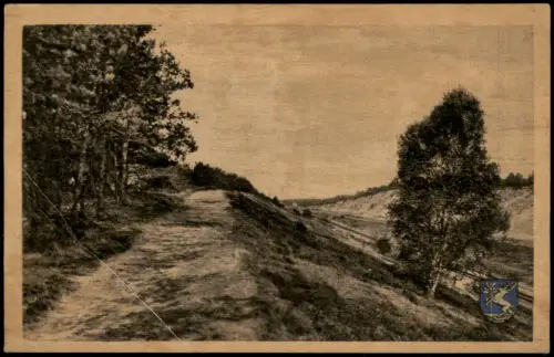 Postkaart Nijverdal Landschaftsansicht 't Ravijn 1940