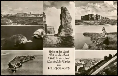 Helgoland (Insel) Mehrbildkarte mit Inselansichten, Lange Anna und Robben 1955