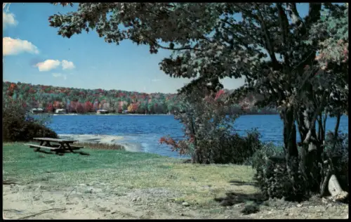 Postcard Québec Uferlandschaft mit Picknickplatz 1975