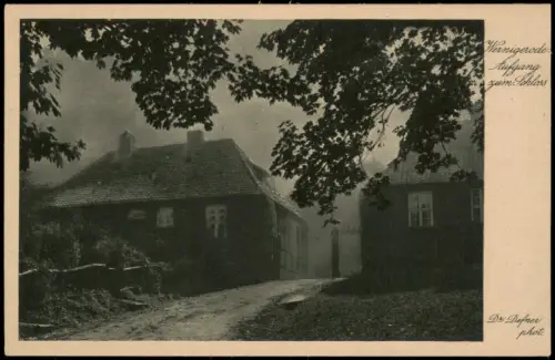 Ansichtskarte Wernigerode Aufgang zum Schloss 1930