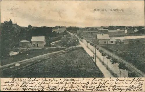 Ansichtskarte Triebsees Straße Senffabrik Brauerei 1908 LK Rostock