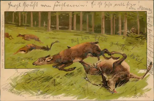 Ansichtskarte  Künstlerkarte Jagd Jäger Rehe Künstlerkarte Mailick 1900