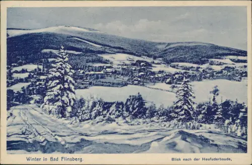 Postcard Bad Flinsberg Świeradów-Zdrój Winter Stadt - Blaudruck 1929