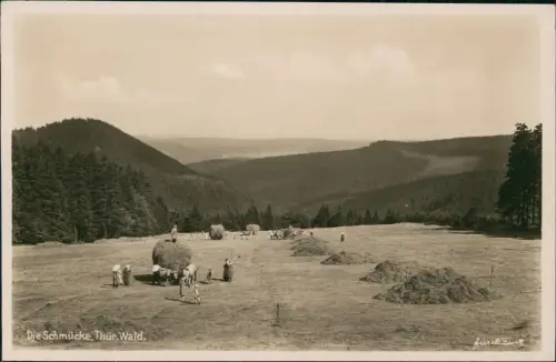 Ansichtskarte Heldrungen Schmücke Heuernte Bauern - Fotokarte 1931