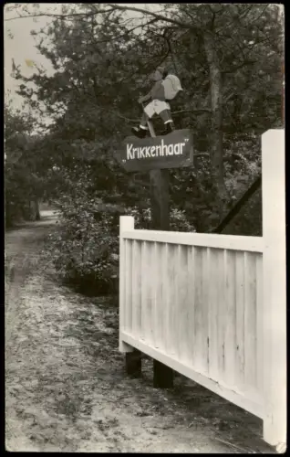 Postkaart Bornerbroek Toegangsweg naar Natuurvriendenhuis Krikkenhaar 1961